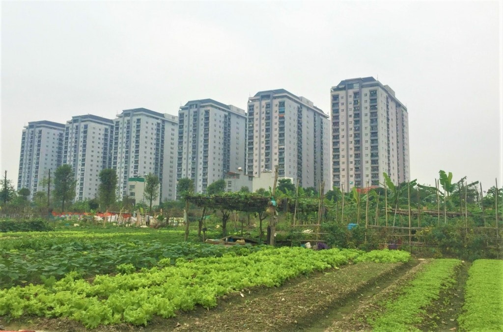 Các khoản thu từ nhà, đất tăng mạnh trong 5 tháng đầu năm