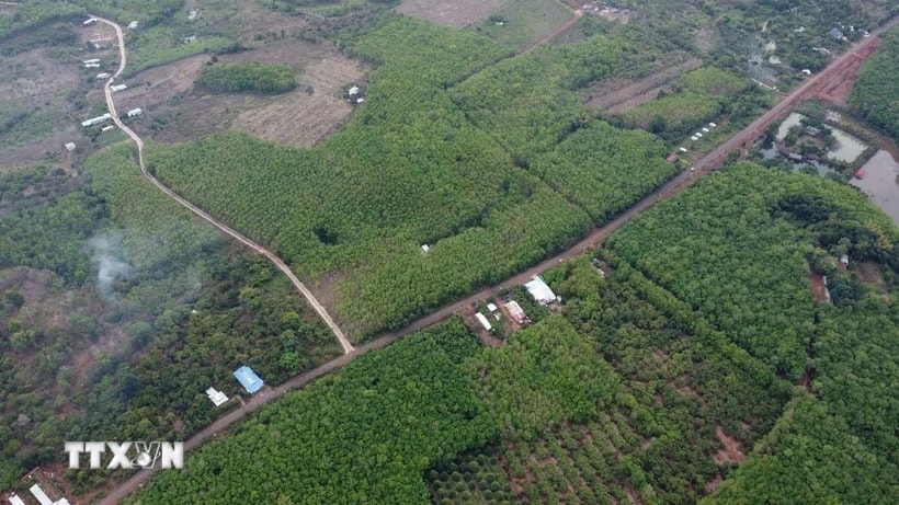 ttxvn-dong-nai-binh-phuoc.jpg.jpg