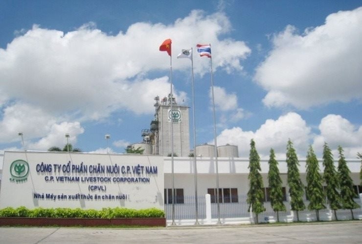 1748597092-cp-viet-nam-1024x691.jpg