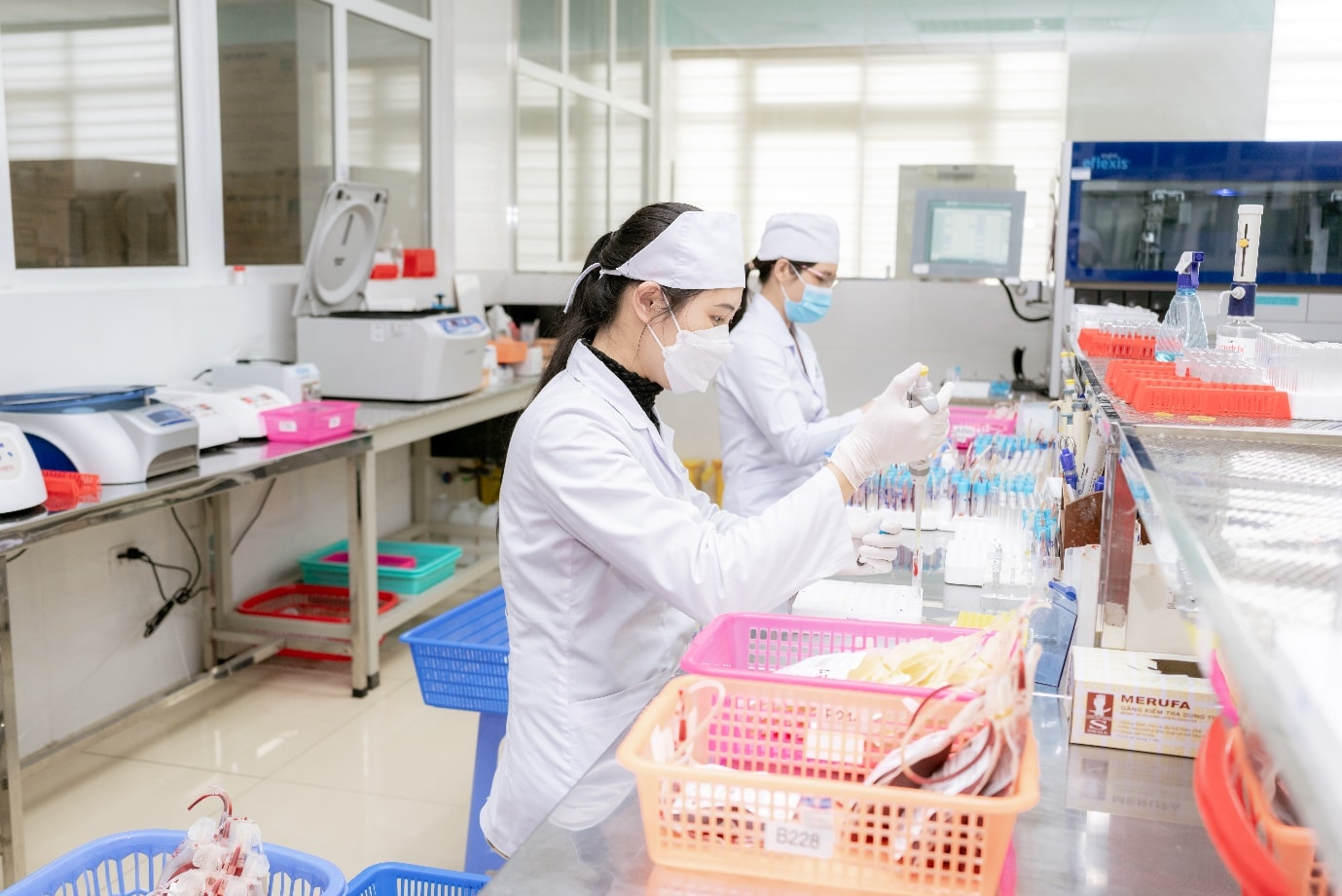 Tư vấn, hỗ trợ triển khai quản lý chất lượng Ngân hàng máu theo tiêu chuẩn EU –GPM - Bệnh viện đa khoa tỉnh Thanh Hoá