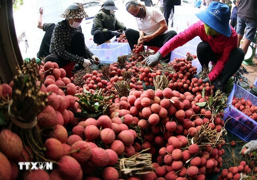 vai-thieu-luc-ngan.jpg