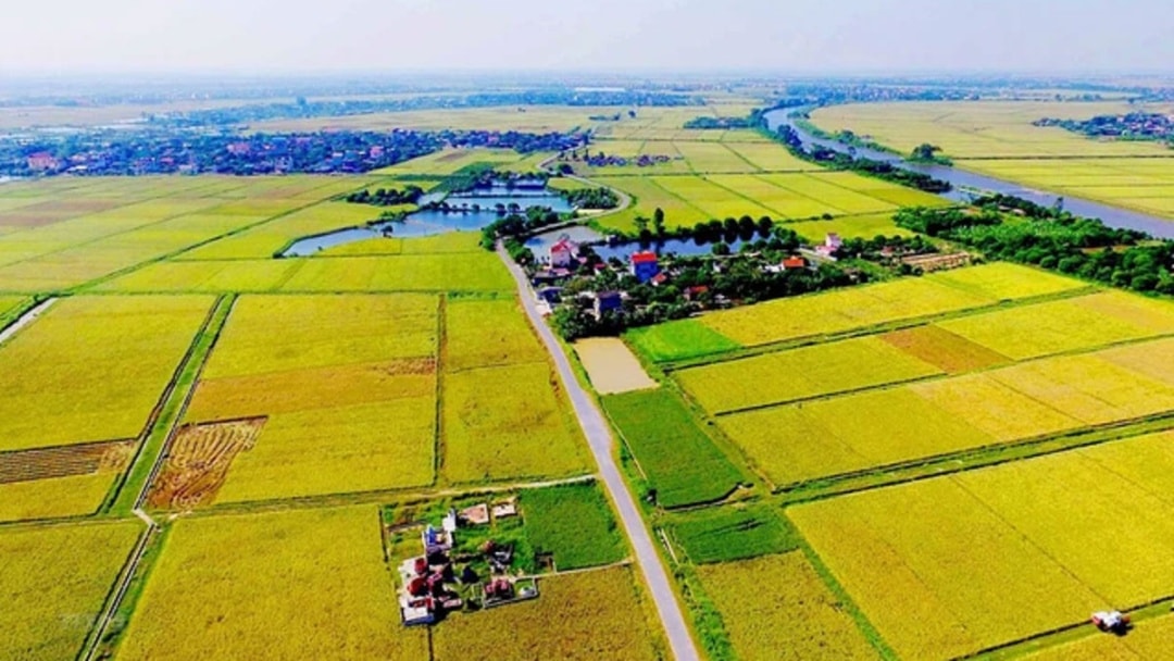 Bộ Tài chính đề xuất 'giảm mạnh' chi phí chuyển đổi đất nông nghiệp sang đất ở