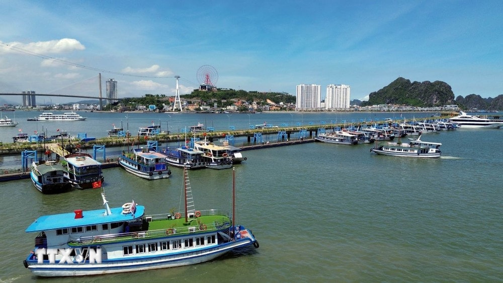 Ứng phó với bão số 3: Quảng Ninh tạm dừng cấp phép rời cảng đối với tàu khách | Vietnam+ (VietnamPlus)