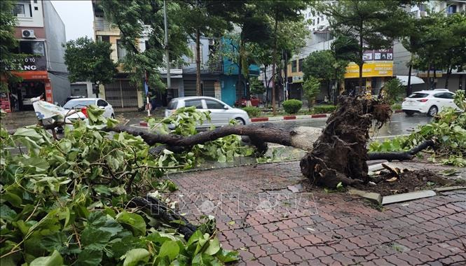 Bão số 3: Mưa lớn gây ngập úng cục bộ trên các tuyến phố, khu đô thị | baotintuc.vn
