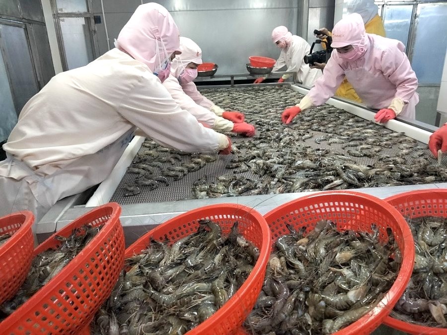 Trung Quốc vượt Mỹ, trở thành thị trường xuất khẩu lớn nhất của tôm Việt Nam
