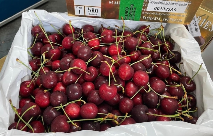 Giá cherry nhập khẩu Mỹ thấp kỷ lục