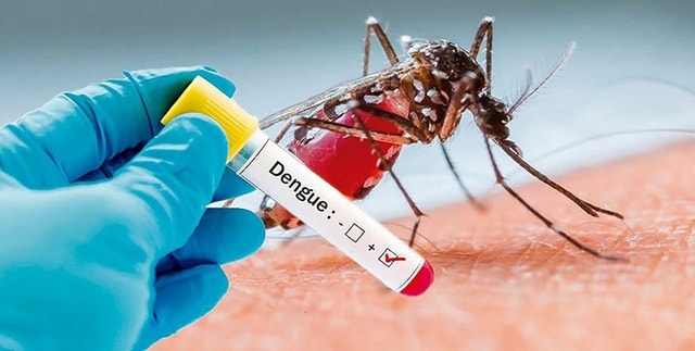 TP. HCM ứng dụng chuyển đổi số để quản lý dịch bệnh sốt xuất huyết