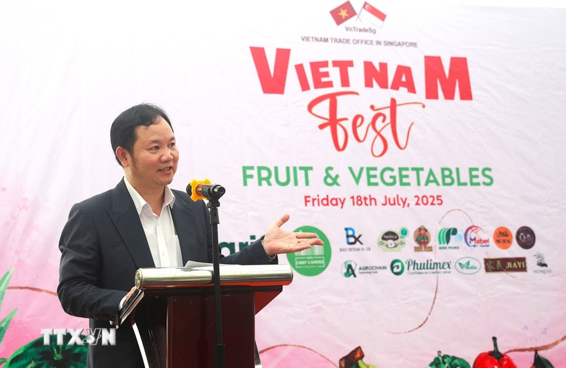 Tham tan thuong mai Singapore