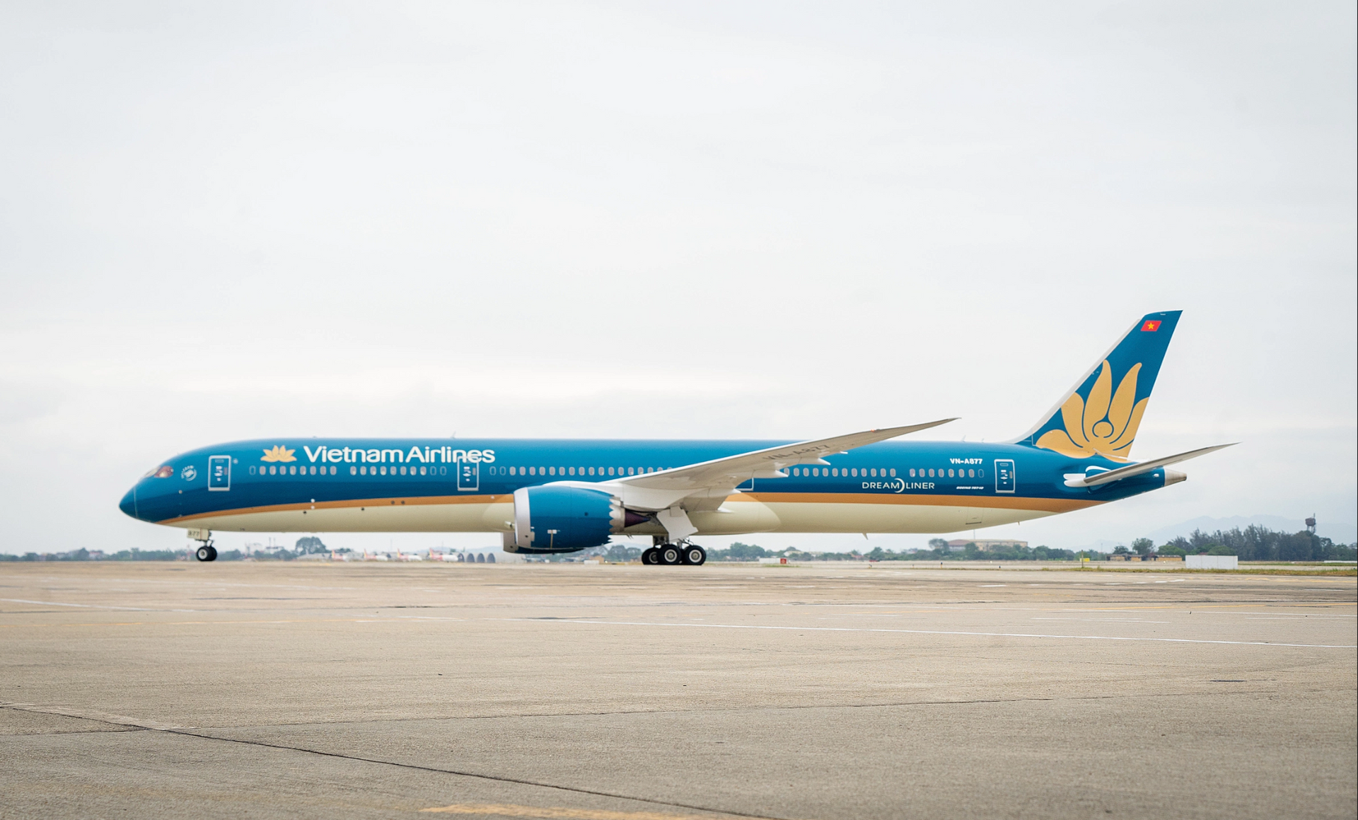 Vietnam Airline
