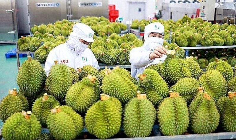 sau_rieng-1738840674807-1151.jpg