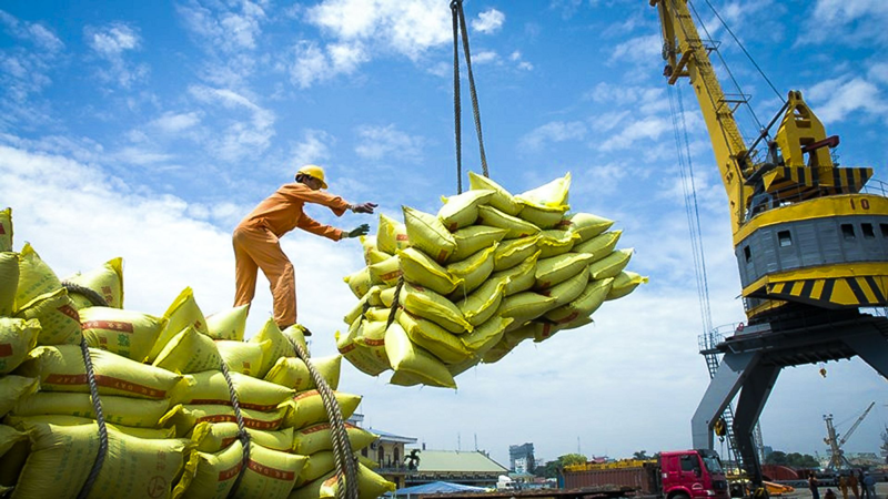 Thị trường lớn nhất thế giới đột ngột dừng nhập khẩu gạo, doanh nghiệp Việt có