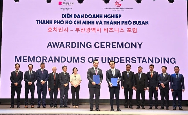 Lãnh đạo UBND TP HCM và Becamex thúc đẩy đầu tư tại Hàn Quốc - Ảnh 1.