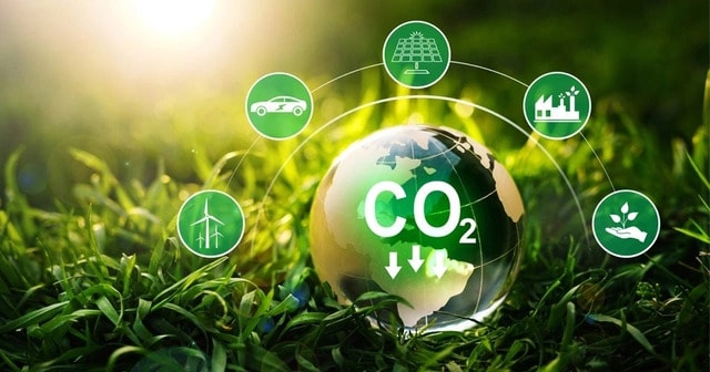 thi-truong-tin-chi-carbon-1750303450798913314709.jpg