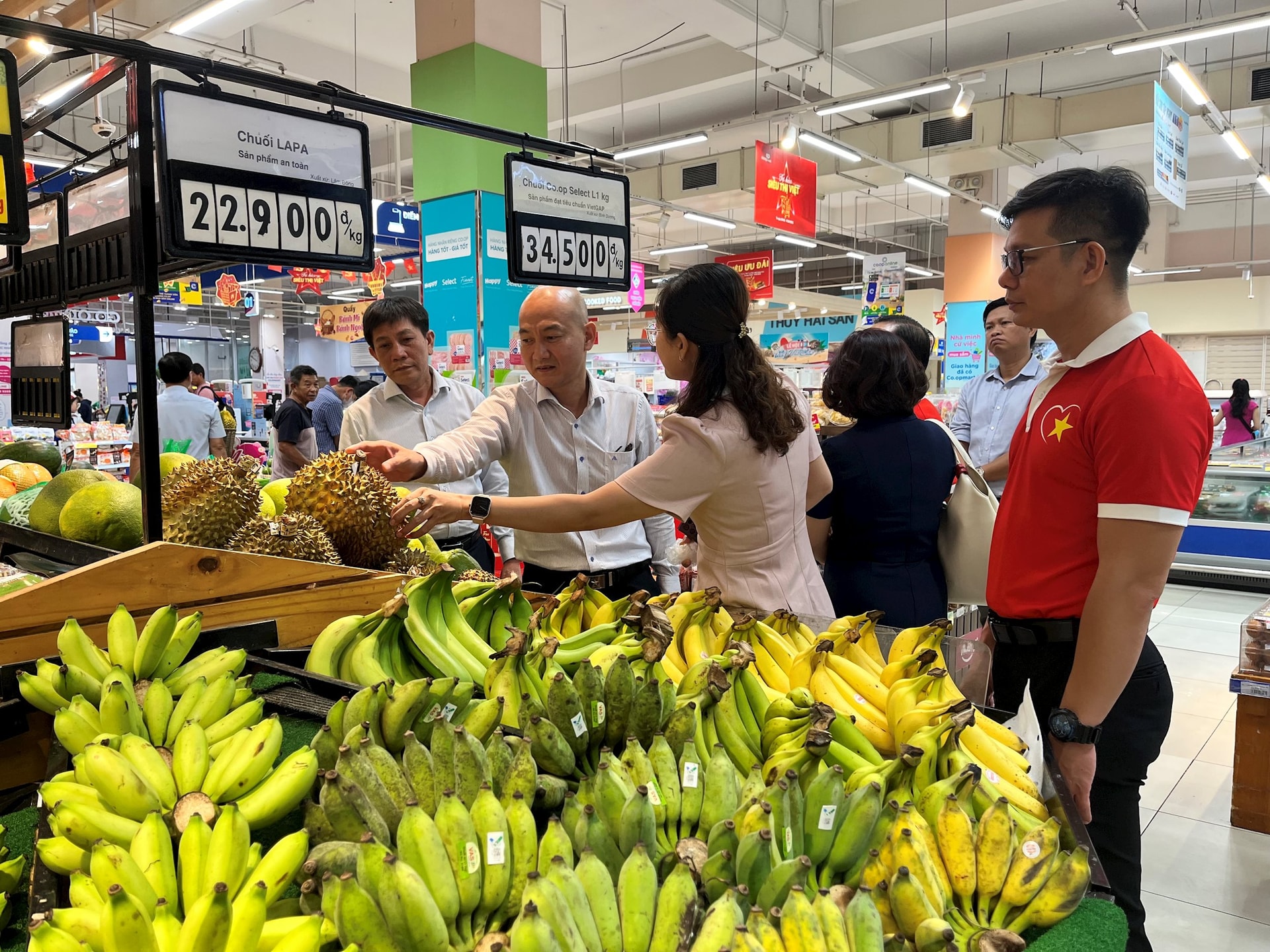 Bản sao IMG_8508