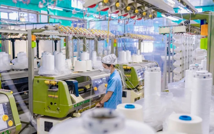174.000 doanh nghiệp gia nhập thị trường trong 7 tháng đầu năm 2025