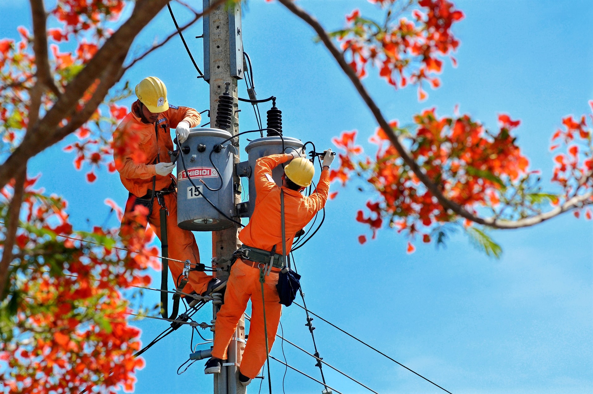Ngành điện TPHCM đẩy nhanh tiến độ ngầm hóa lưới điện