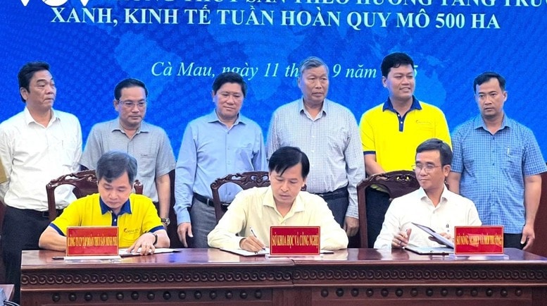 Ca Mau