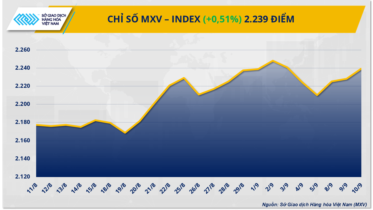 mxv-index.png