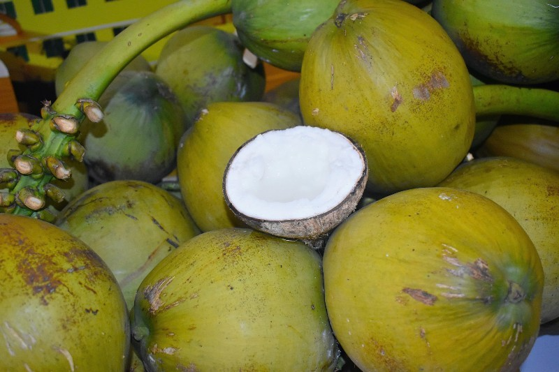 trai-dua-tien-vao-nhom-nong-san.png