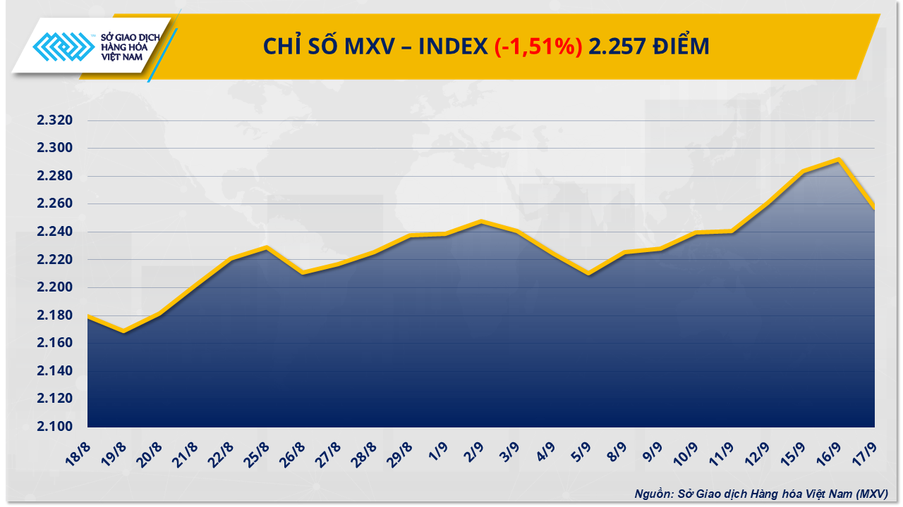 MXV-Index 5