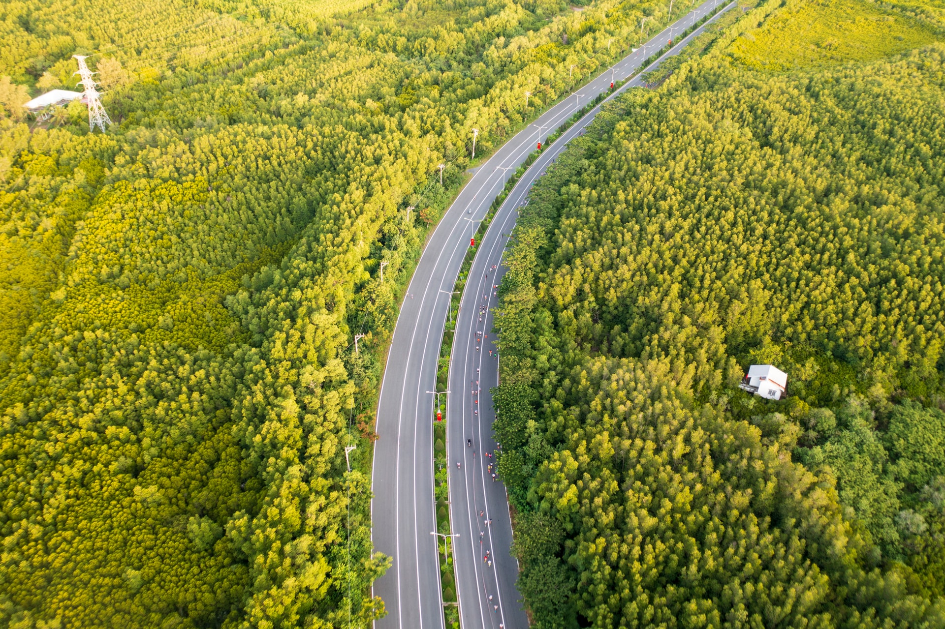 Hình 1_Cung đường diễn ra giải đấu xanh mướt đúng với cái tên “Lá phổi xanh” của TP.HCM. Cần Giờ được UNESCO công nhận là khu dự trữ sinh quyển thế giới đầu tiên của Vi