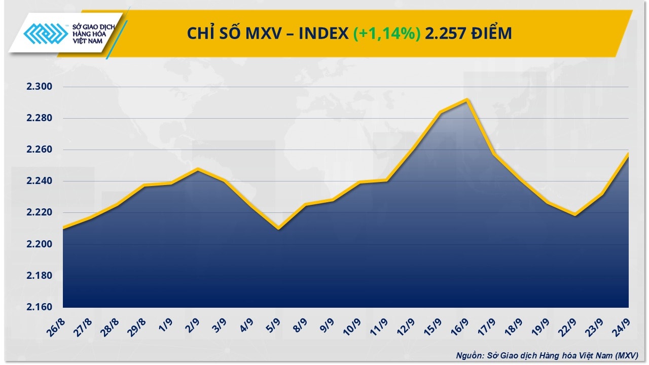MXV-Index 6