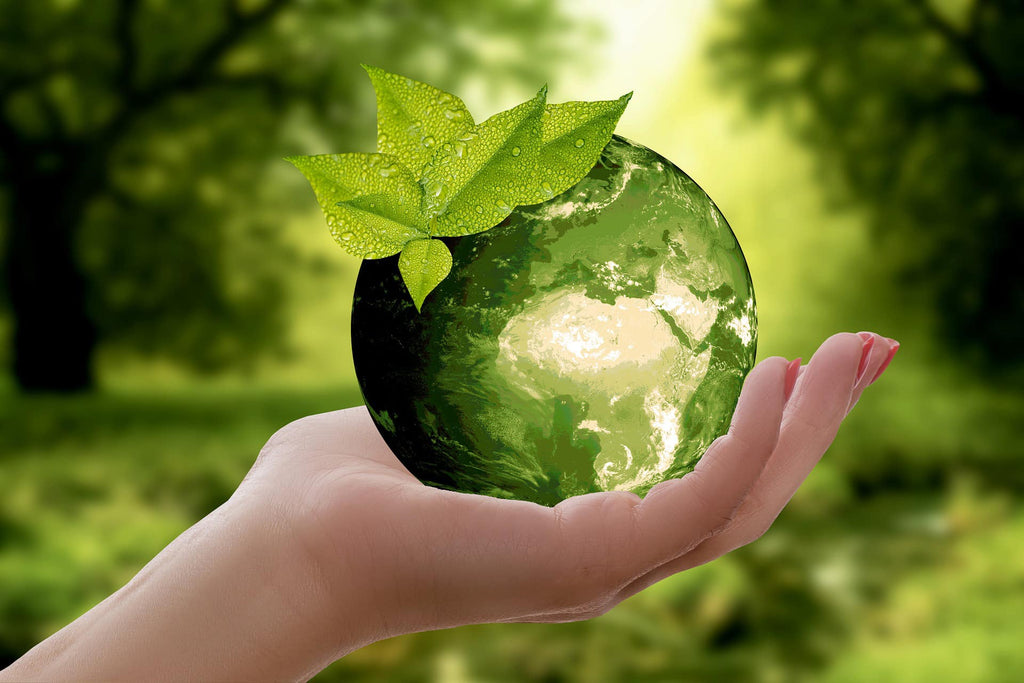 positive_environmental_impact_10.png