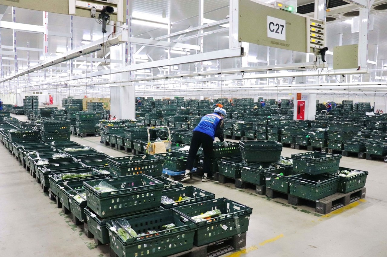 Ứng dụng công nghệ AI vào logistics