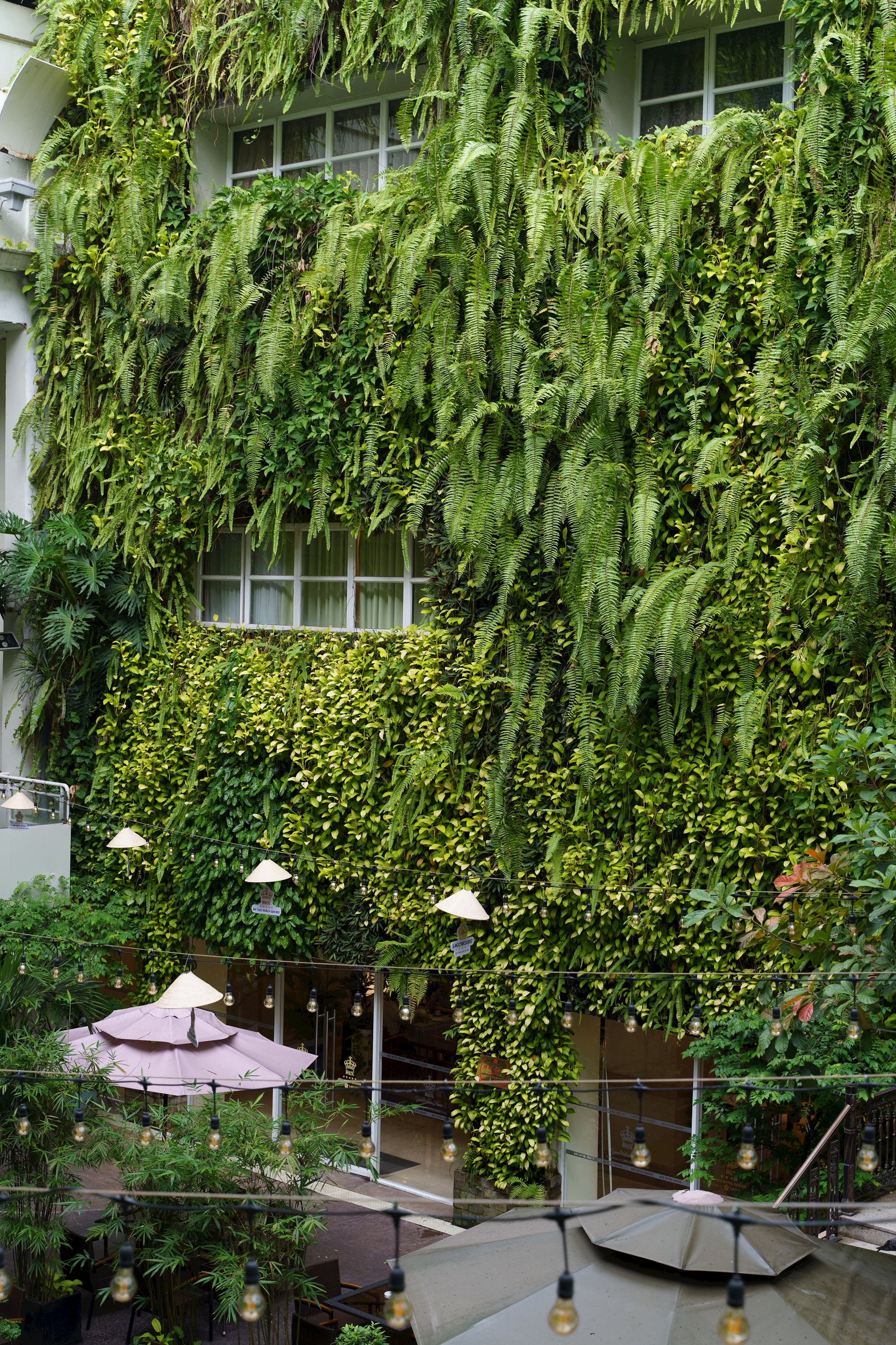 Vertical Garden (1)