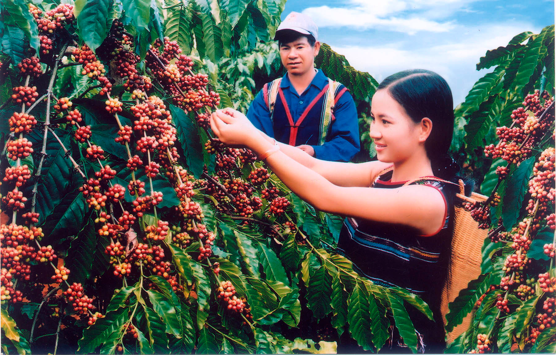 images569259-iim7y9noad-anh-1201.png