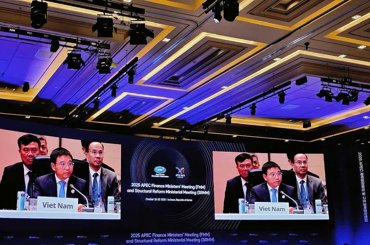 apec_2.jpg