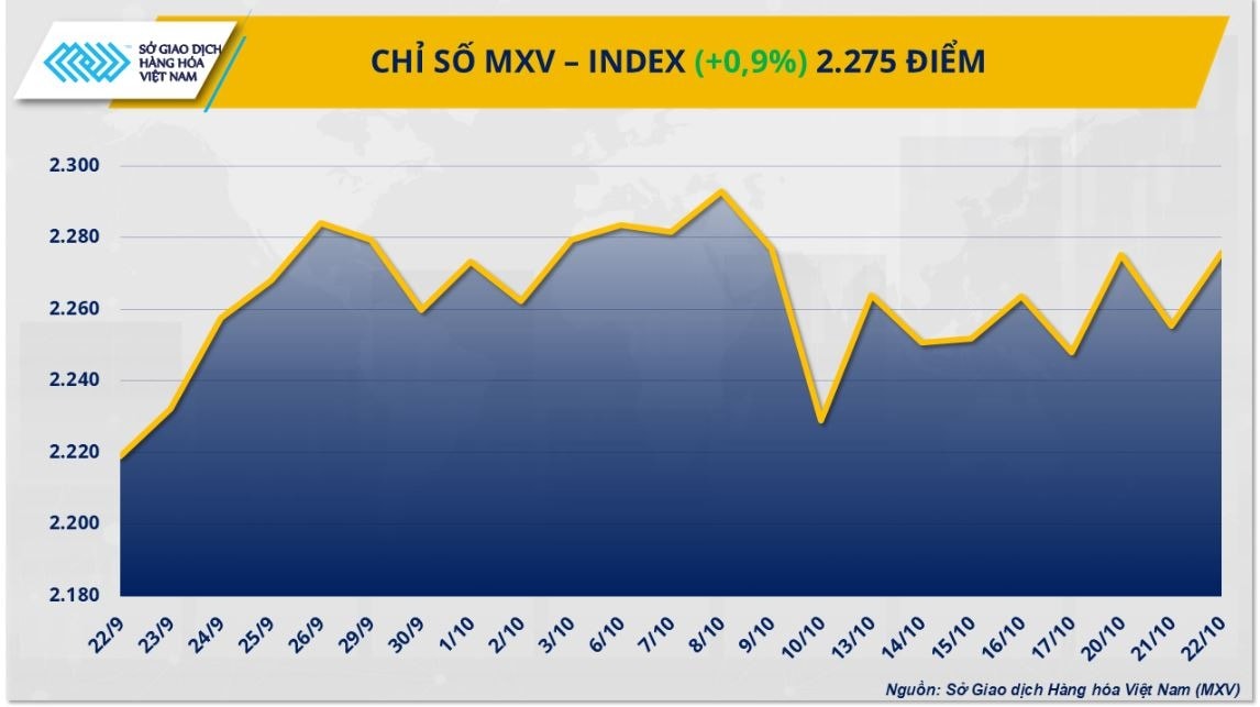 MXV-index (4)