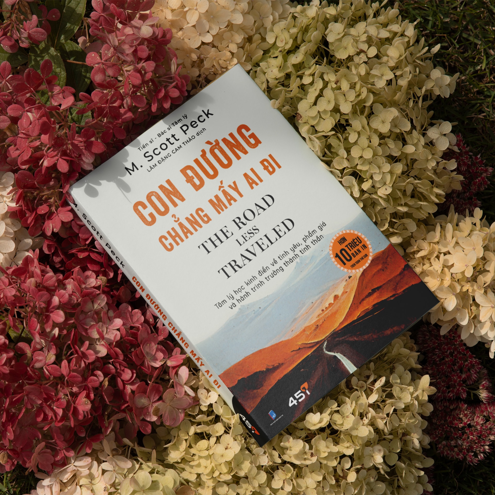 Mock up Con Đường