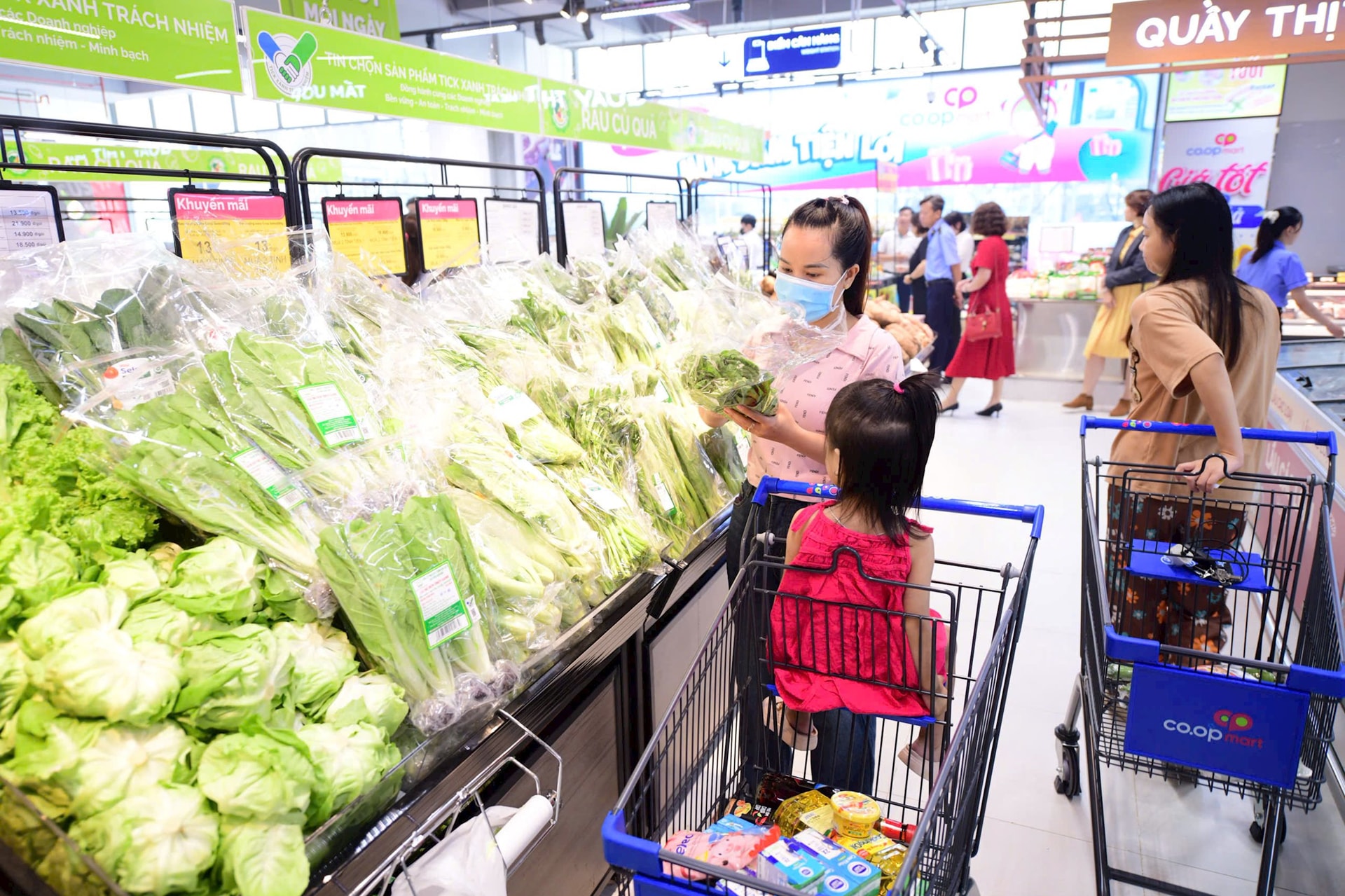 Saigon Co.op điều chỉnh giảm giá rau ăn lá ngay trong cao điểm biến động, giữ ổn định giỏ hàng thiết yếu của người dân.