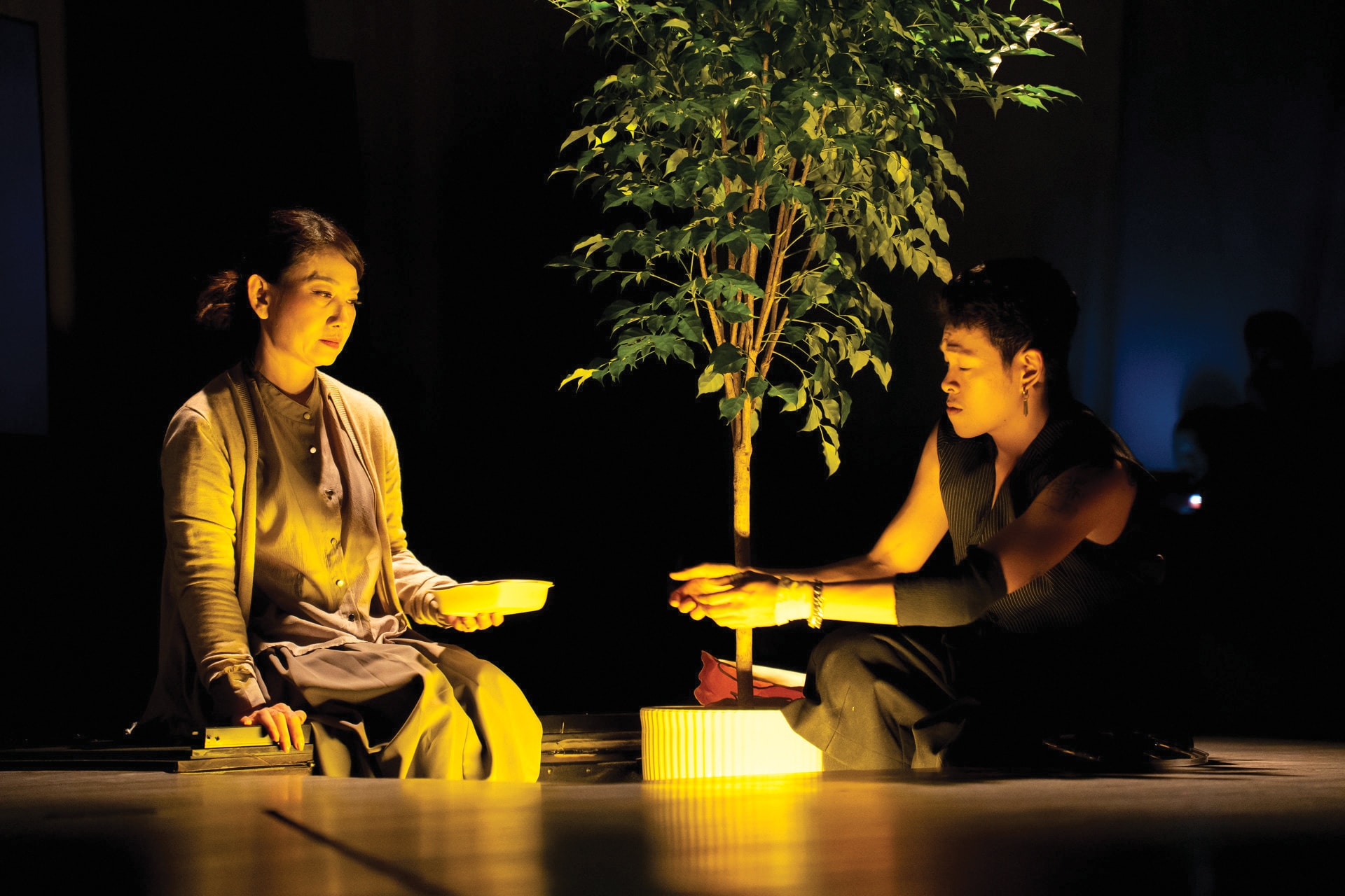 Canh trong vo Ao quan