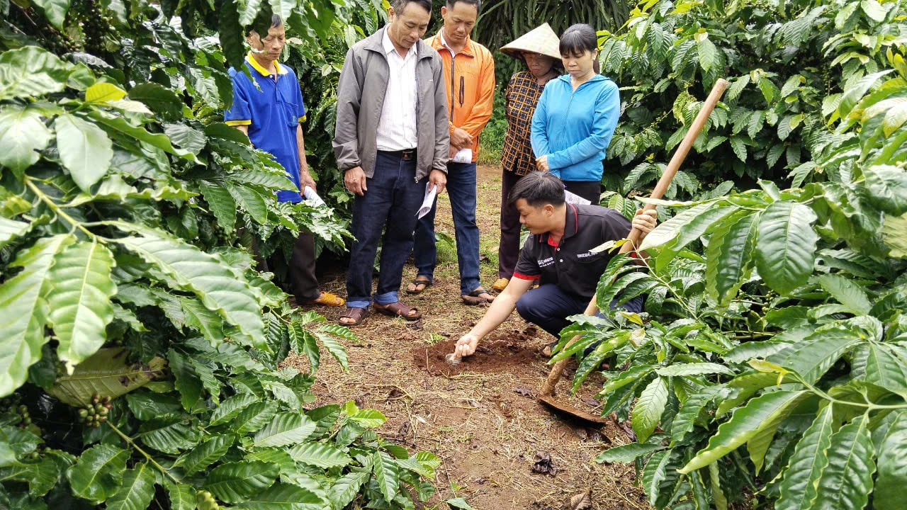 Nông dân tham gia Chương trình NESCAFÉ Plan được tập huấn phương pháp canh tác bền vững