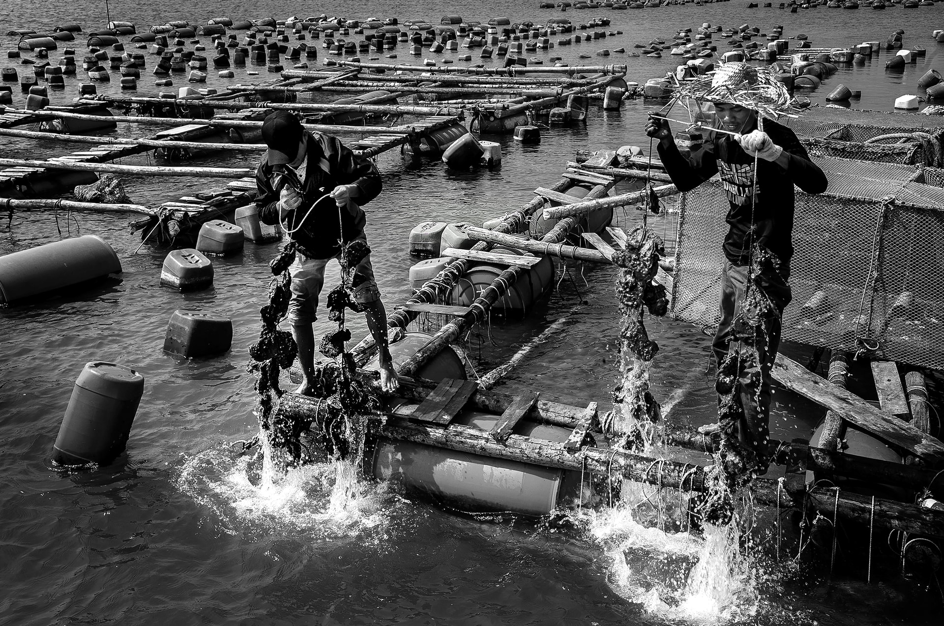 89-tren bien can gio - Nguyễn Mạnh Hùng