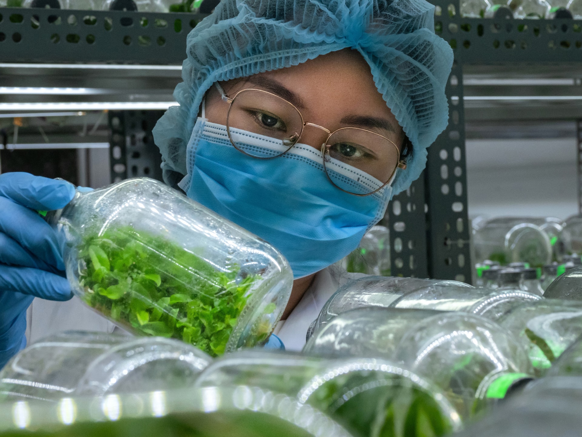 77-nong nghiep cong nghe cao_Lê Khải Nhân-