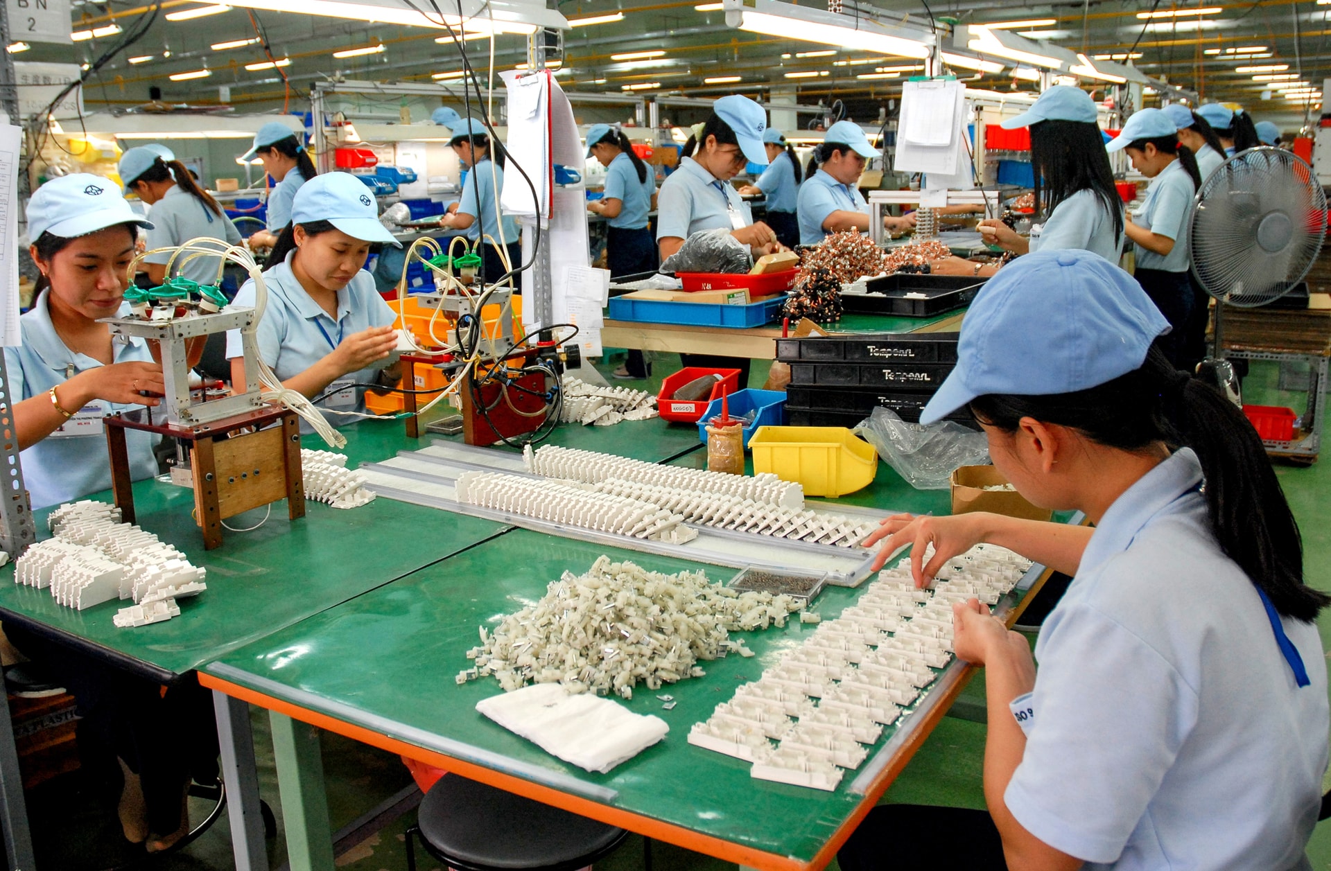 67-Cty Tempearl-cầu chì cầu dao- Đỗ Hữu Luận-