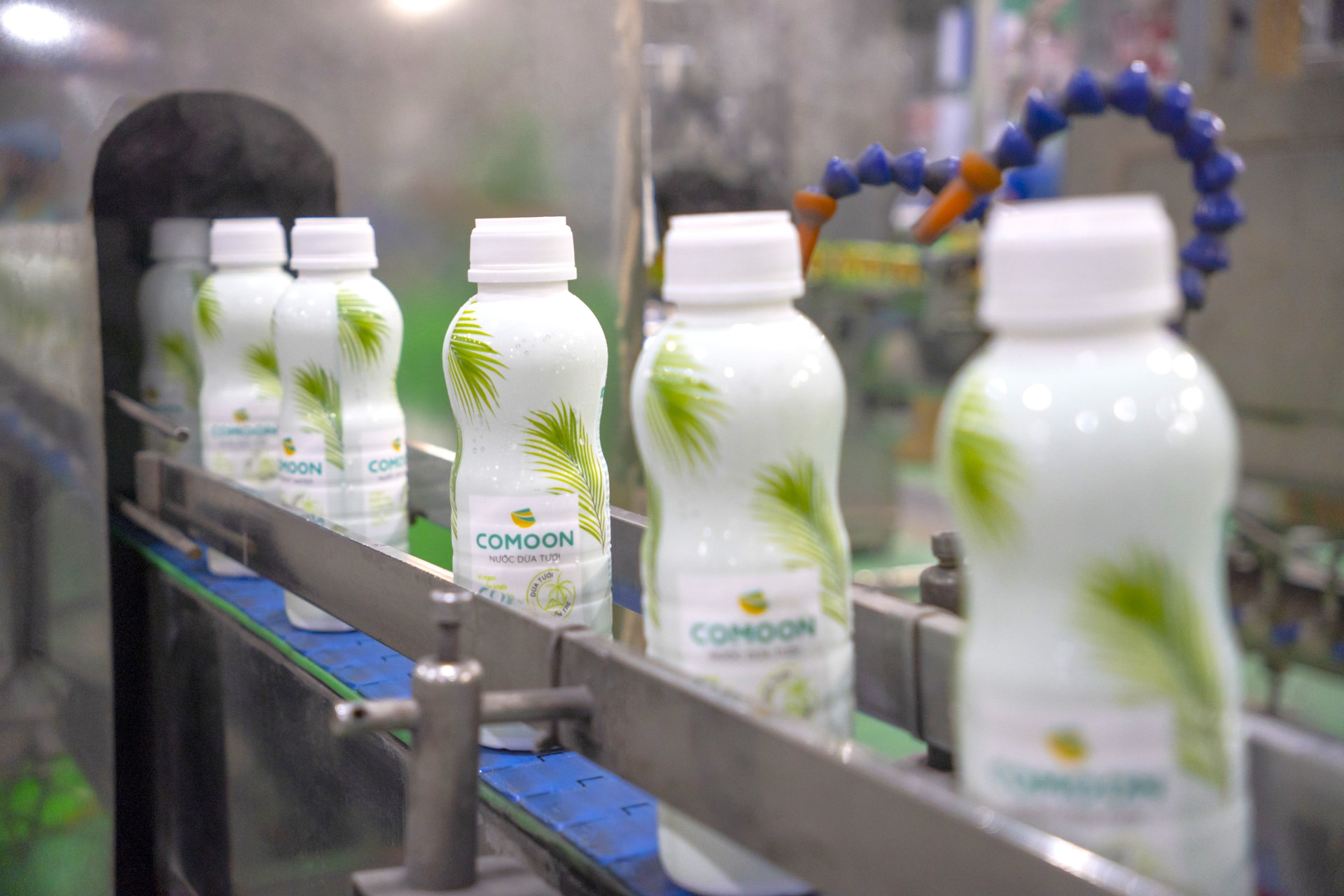 Sản xuất nước dừa đóng chai của HungHau Foods