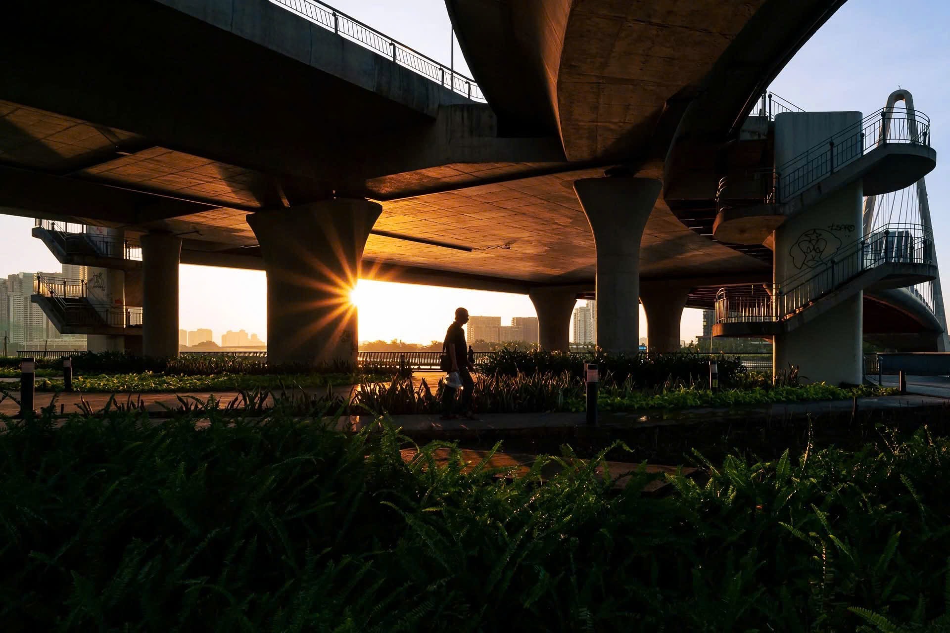 Nhịp sống sớm: lặng lẽ, đều đặn và bền bỉ.