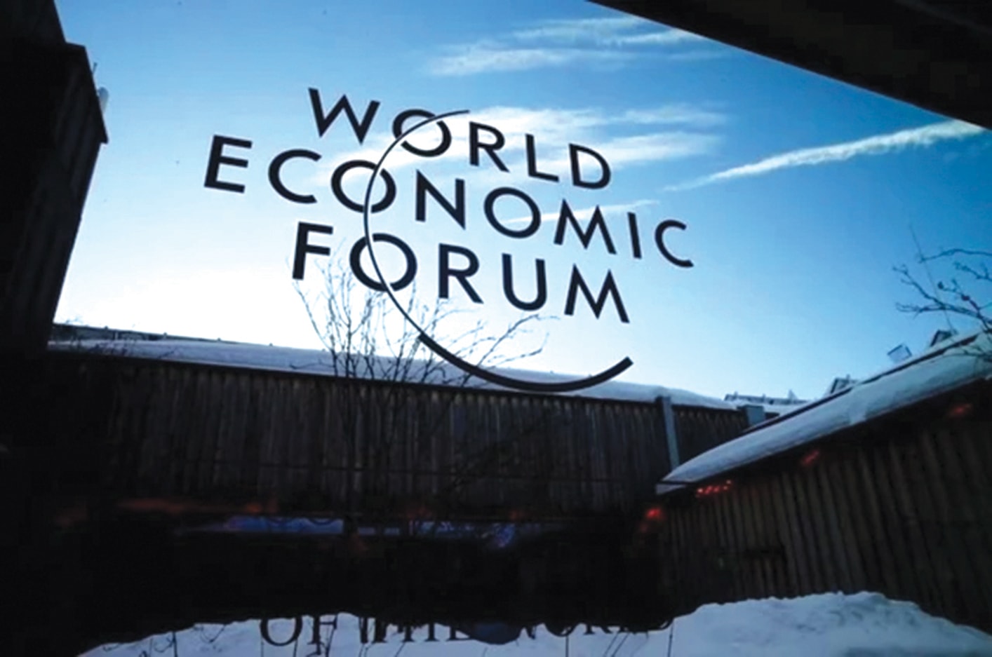 photo-3-16749002167641958989115 copy