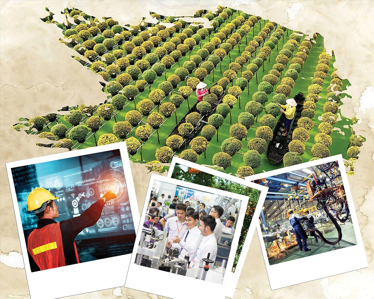 67f0ccbdee04615a3815 thay