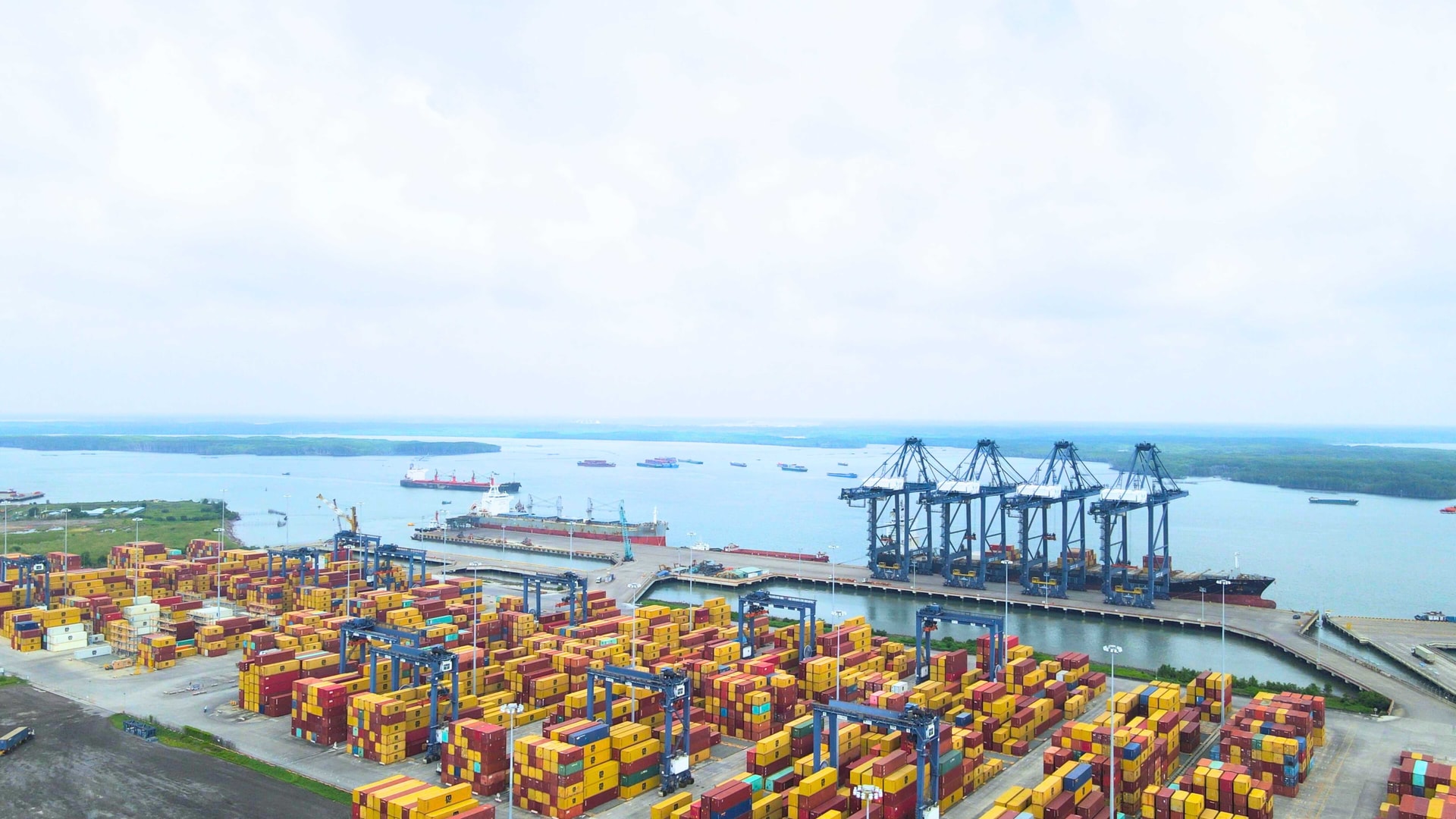 MSC Vigour III pic c