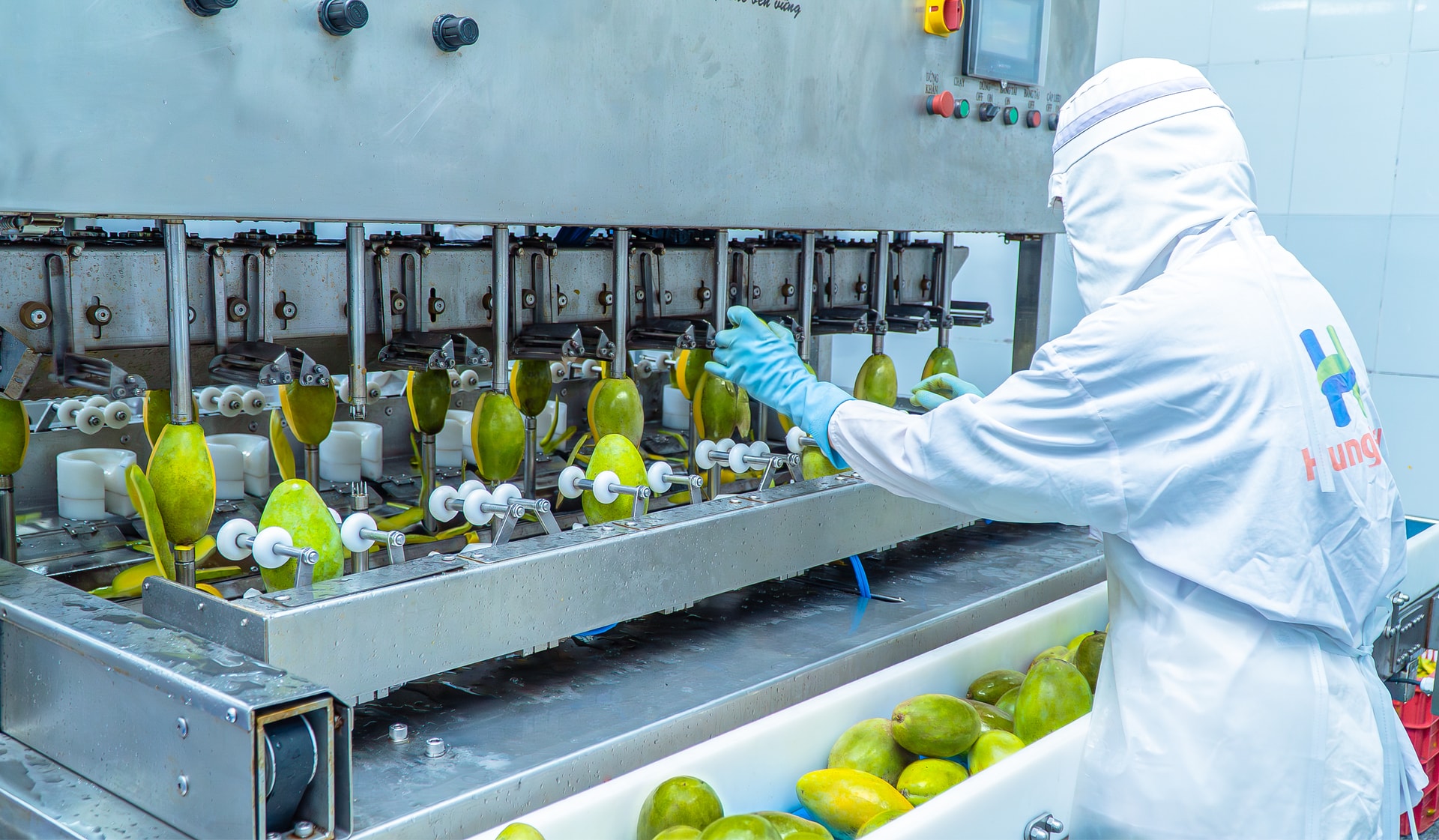 Chế biến xoài đông lạnh tại nhà máy của HungHau Foods