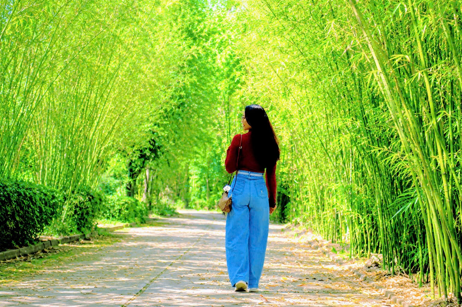 Du khách đi dạo dưới con đường tre xanh mướt