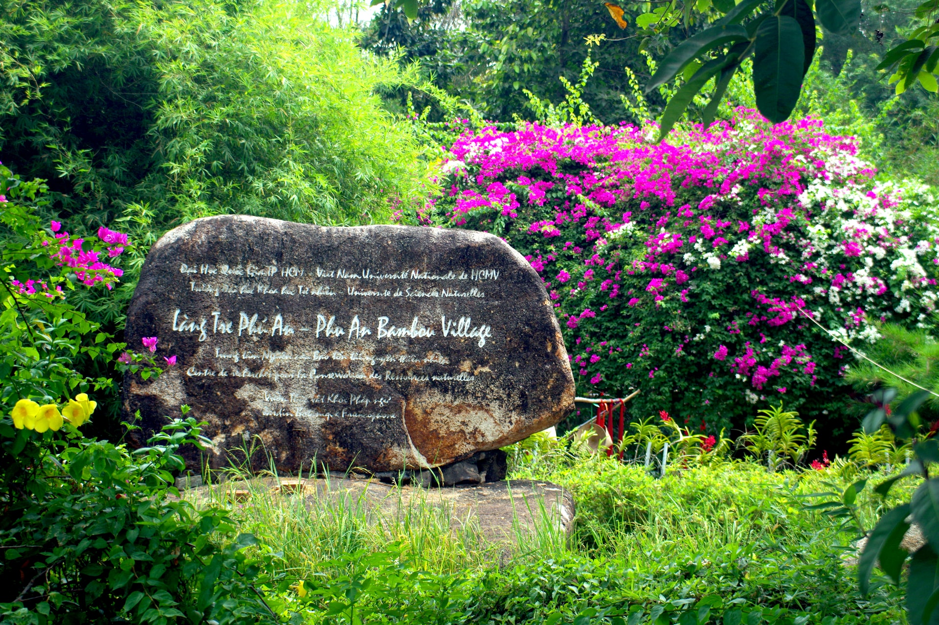 imgp3445.jpg