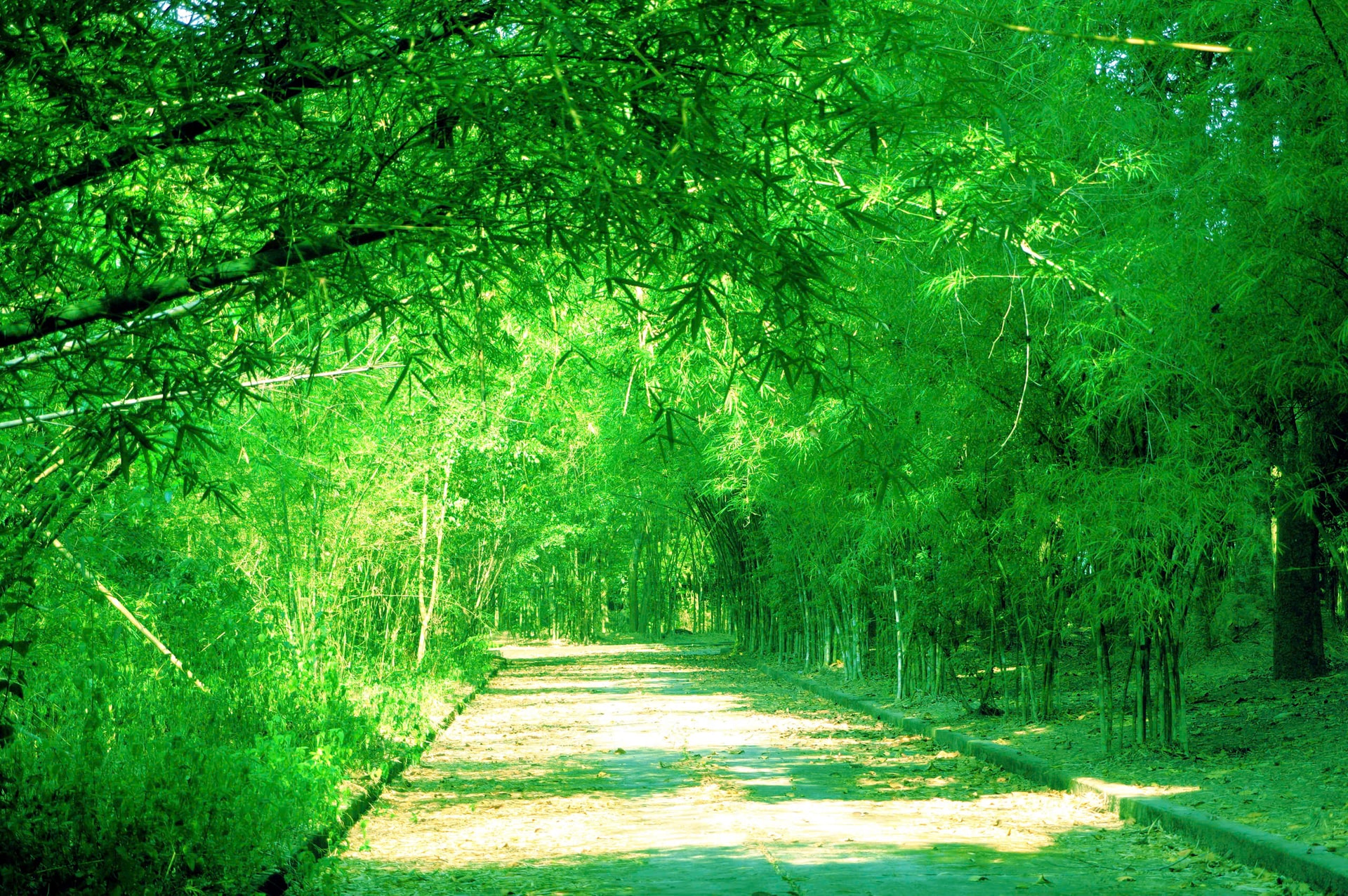 Khoảng xanh đẹp tuyệt vời