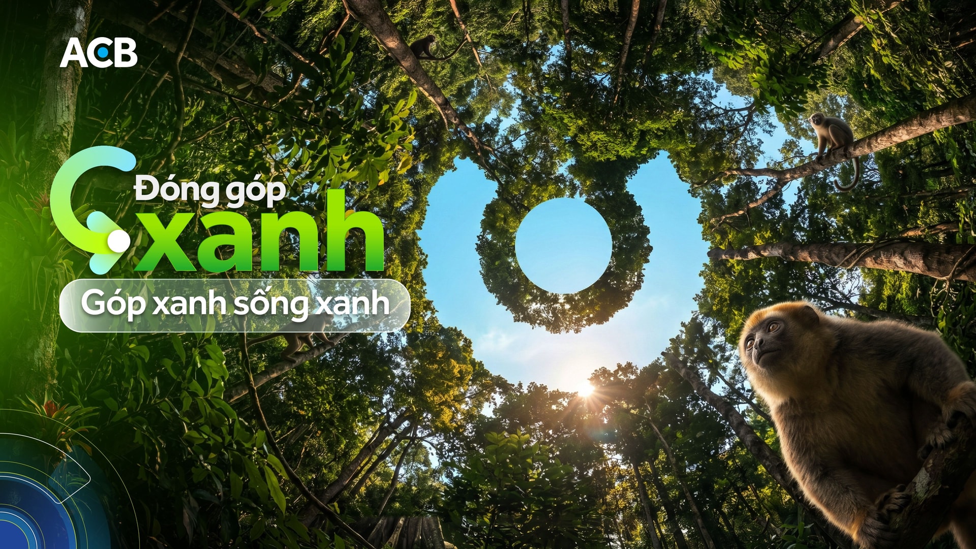 Dong gop Xanh - Hinh 1