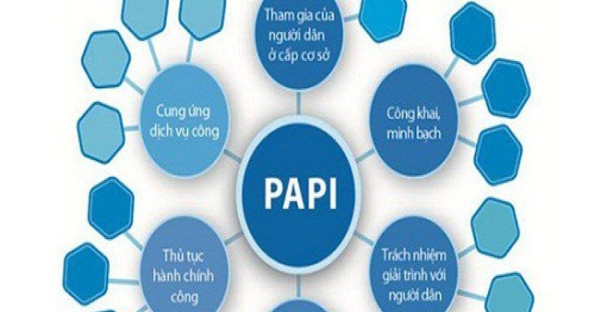 TP.HCM ban hành kế hoạch cải thiện chỉ số PAPI